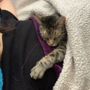 lovehappinesssanity avatar