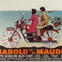 loveharoldandmaude-blog-blog avatar