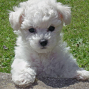 loveherallican-blog avatar