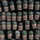 loveisalluneedbabe-blog avatar