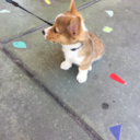 loveisfearless11 avatar