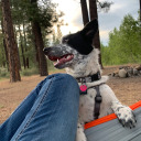 loveiskind3719 avatar