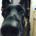 loveispatientloveiskind1 avatar