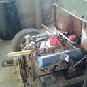 lovelandhound avatar