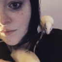 lovelessbird avatar