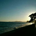 lovelessfashion avatar