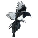 loveletterworld avatar