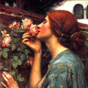 lovelierlight avatar