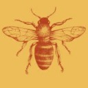 loveliestlife avatar