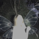 lovelivinghere avatar