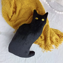 lovely-cozy-plushies avatar