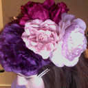 lovely-greluche avatar