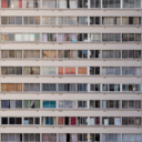 lovely-little-darling avatar