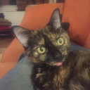 lovely-living-spaces avatar