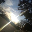 lovely-nights-world avatar