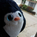 lovely-pingu-20 avatar