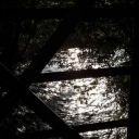 lovely-rose28 avatar