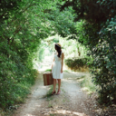 lovely-scenes-blog avatar