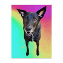 lovelydoggosuggest avatar