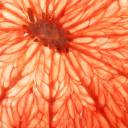 lovelydumbass avatar