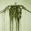 lovelyephemera avatar