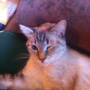 lovelyfriend13 avatar