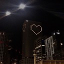 lovelyfurrydreamland avatar