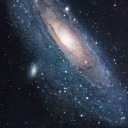 lovelyhappycollectorblr avatar