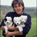 lovelyharry94 avatar