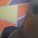 lovelyjerkbirb avatar