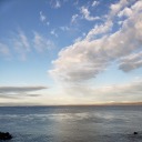 lovelylemonbees avatar