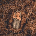 lovelylettersinthesandshore avatar