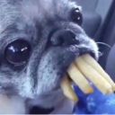 lovelylightning8 avatar