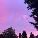 lovelyliila31 avatar