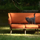 lovelylittlehouses avatar