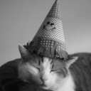 lovelylolcats avatar