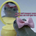 lovelylonelyloony avatar