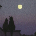 lovelylovestory avatar