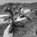 lovelyprincessmei avatar