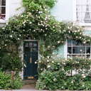 lovelyrooms-blog avatar