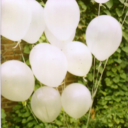 lovelyserendipities avatar