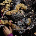 lovelyworldfullofmisfits avatar