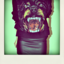 lovemargs-blog avatar