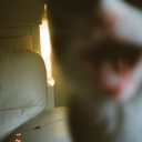 lovemegentlyaa avatar