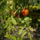 lovemelovemesaythatyouloveme9 avatar