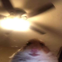 lovemimundofan avatar