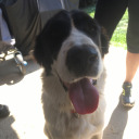 lovenewyork88 avatar