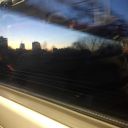 lovenliterature avatar