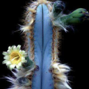 loveofmynights avatar