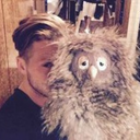 loveonerepublicforever avatar